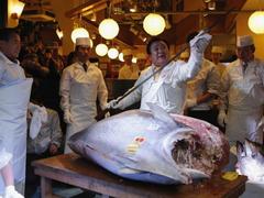 Japan Breaks Out With Monster Rally